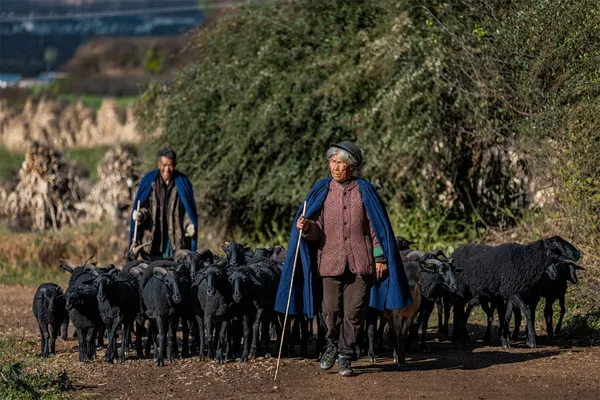 Bountiful Year thumbnail