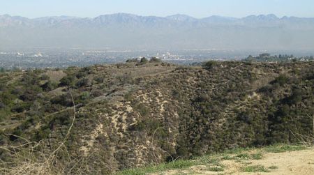 The view from the Dirt Mulholland