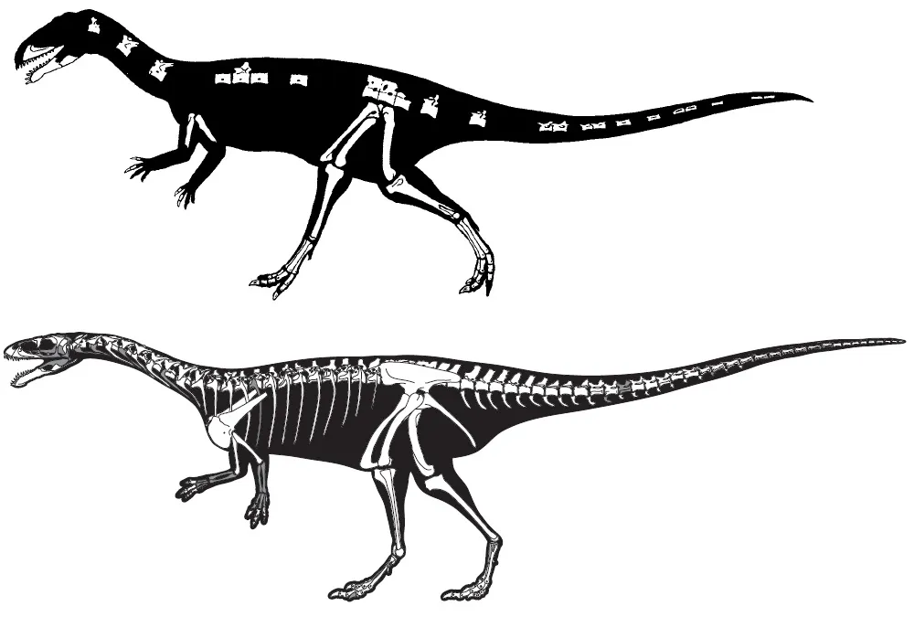 20110520083304masiakasaurus-two-reconstructions.jpg