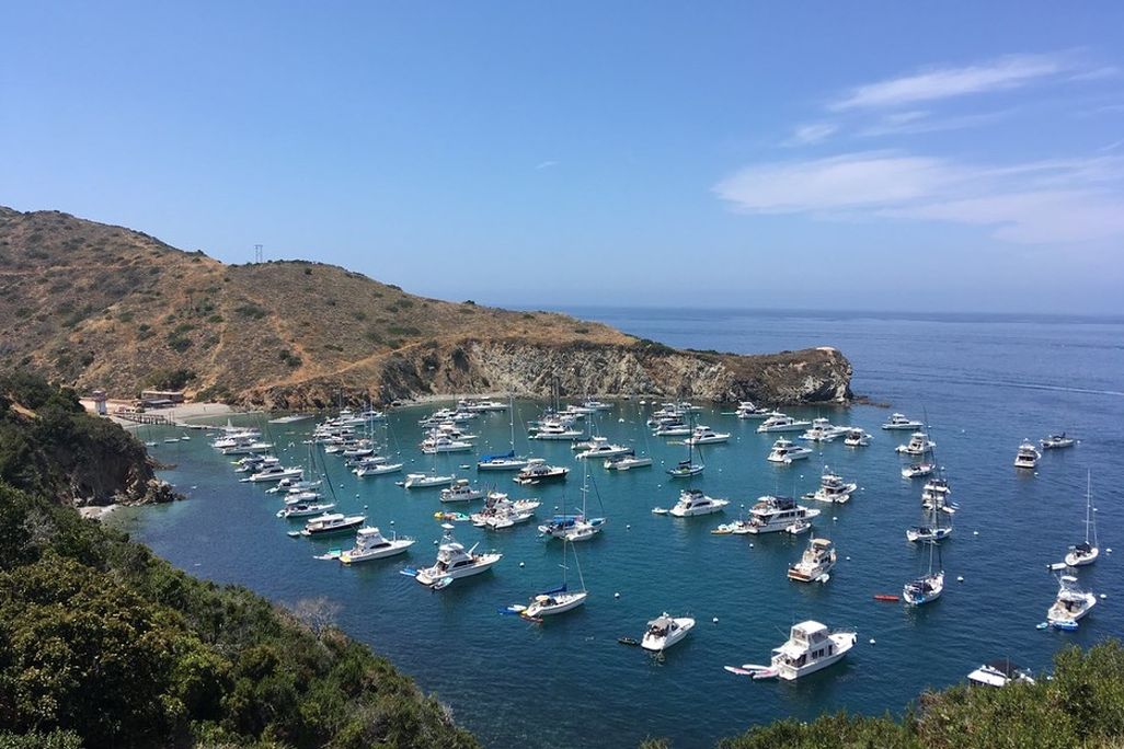 A photo of the coast of Santa Catalina Island on California's southern coast