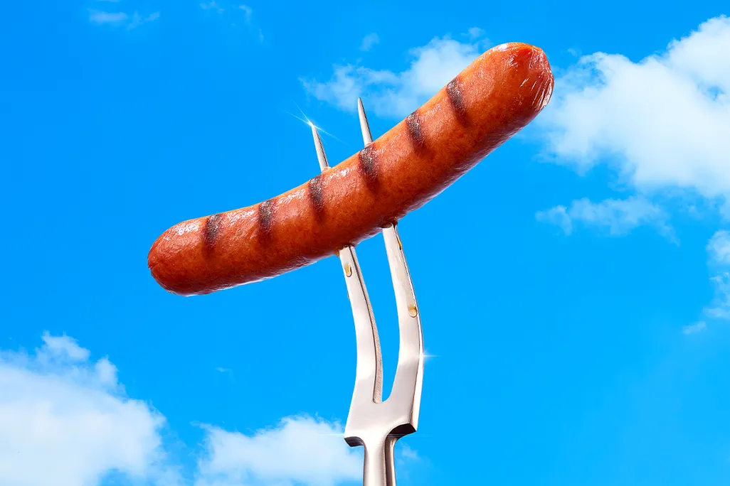 Hot dog illustration