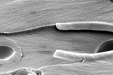 Broken microcapsules leave impressions seen through a microscope after a healing agent has bled out in a fracture plane of a composite material.