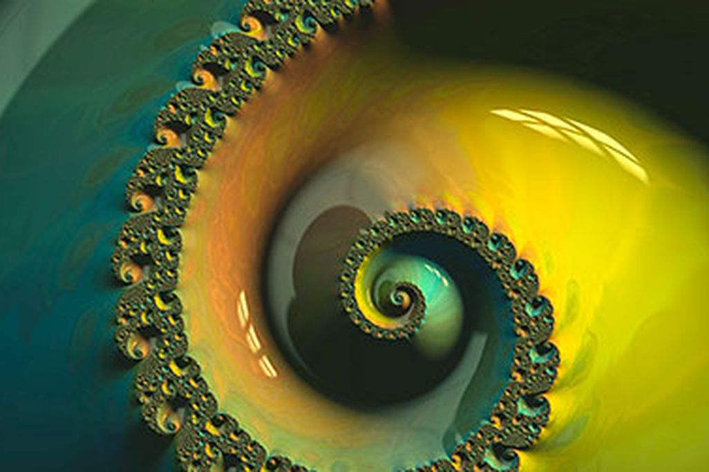 20131101102020Frax-stylish-spiral-web.jpg