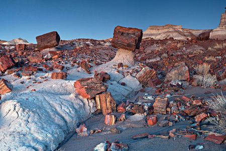 Jasper Forest, a part of Petrified Forest National Park.