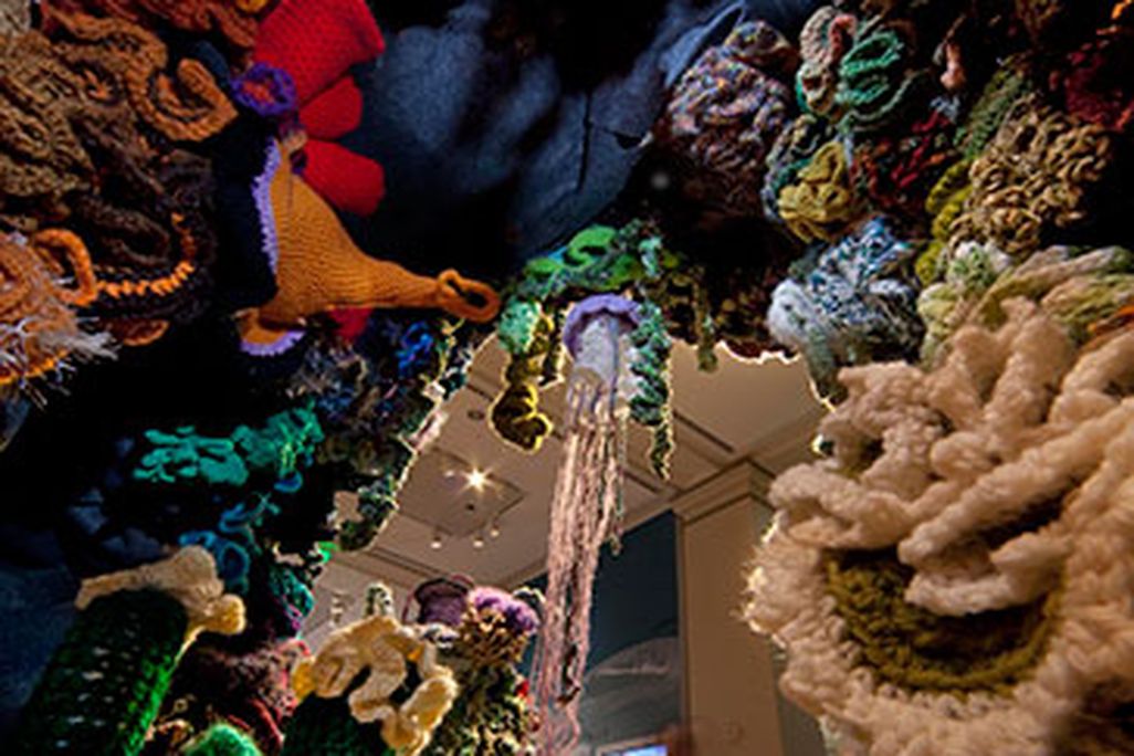 20110520110729coral-reef-crochet1.jpg