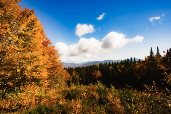 Leaf Peeping in the White Mountains thumbnail