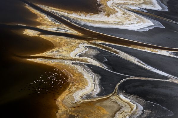 Art by nature thumbnail