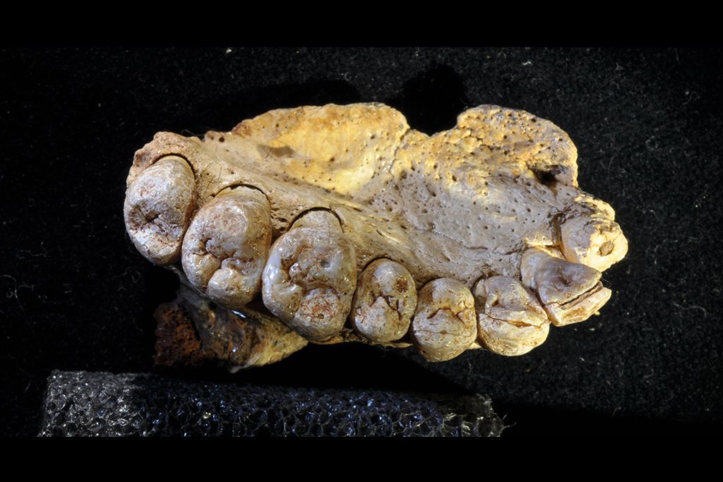MisliyaCave2.jpg