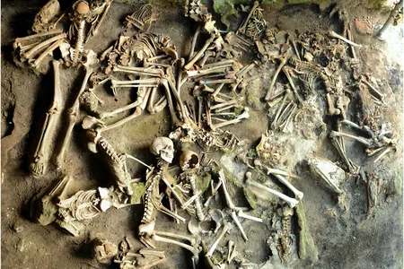 Men ate over 50 percent more seafood protein than women and gained slightly more protein from grains. Women consumed more terrestrial meats, more eggs and dairy products, and more local fruits and vegetables.