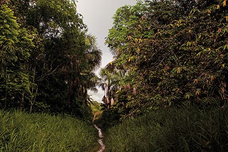 The writer ventured into the deep jungles of Colombia.