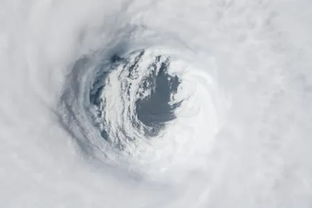 Hurricane Michael made landfall along the Florida Panhandle Wednesday, devastating the region with winds of up to 155 miles per hour and storm surges of up to 14 feet