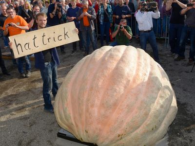 Beni Meier's record-holding 2323.7 pound pumpkin.