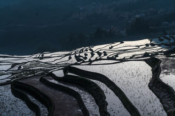 Rice Terraces at Dawn thumbnail