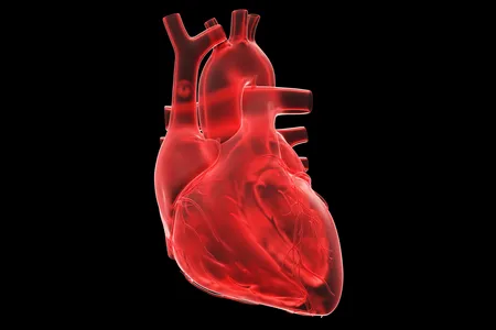 Heart disease is the leading cause of death globally, according to the World Health Organization.
