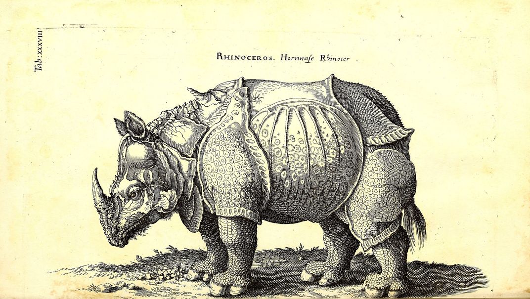 Illustration of rhinoceros that appears armored.
