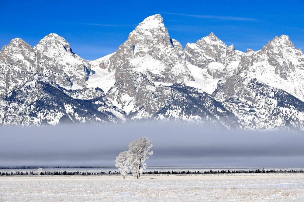 This was an amazing morning. I was traveling to take some winter photos of the magnificent Teton Mountains when I caught the view of this, I knew it was amazing and unusual.