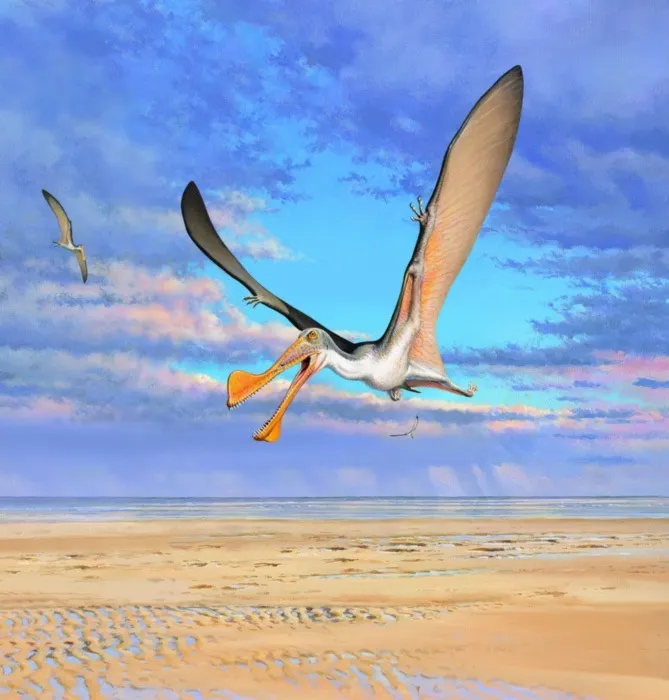 flying pterosaur