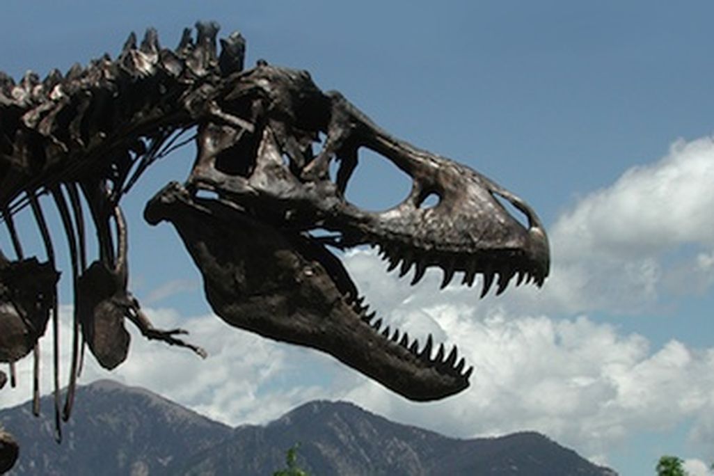 Wankel’s Rex