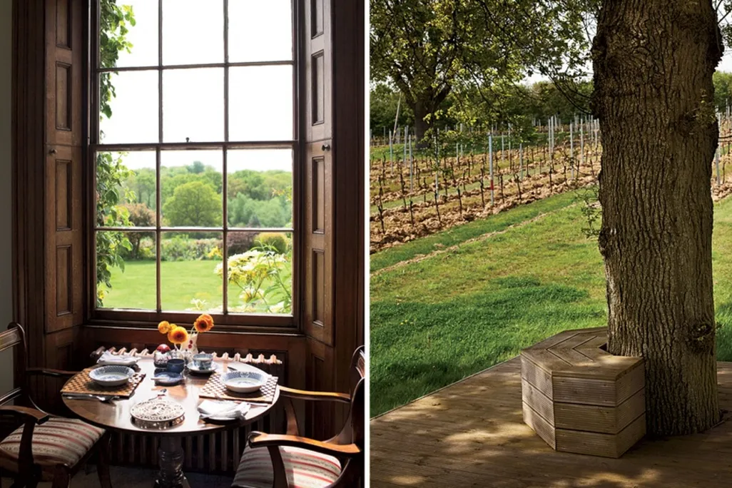 England Vineyard