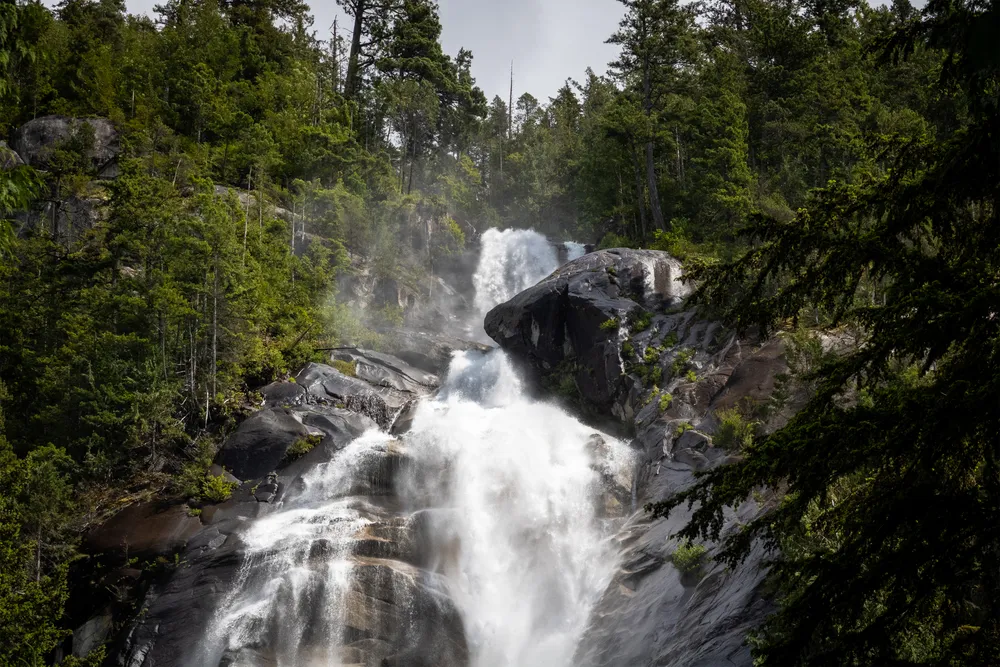 The powerful rush of water cascades down the granite cliffs at Shannon Falls, near Squamish, British Columbia. The telephoto lens compresses the scene, highlighting the scale of the falls against the surrounding old growth forest, capturing the raw energy of the landscape.