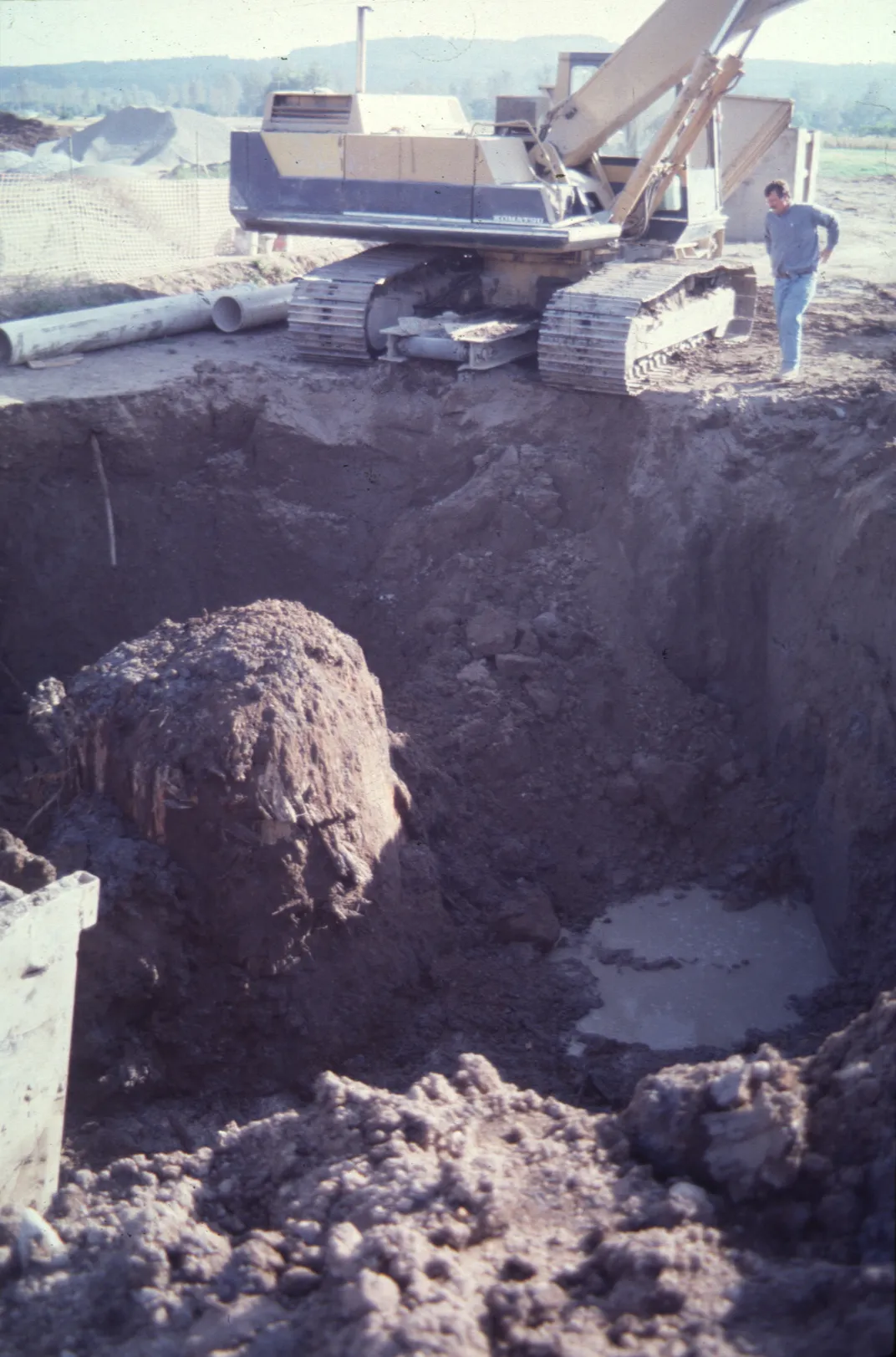 construction equipment digs into a massive hole with a man standing at its edge, a wide and broken tree truck visible inside