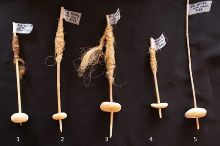 The researchers made experimental spindles and whorls based on 3D scans of the pebbles.