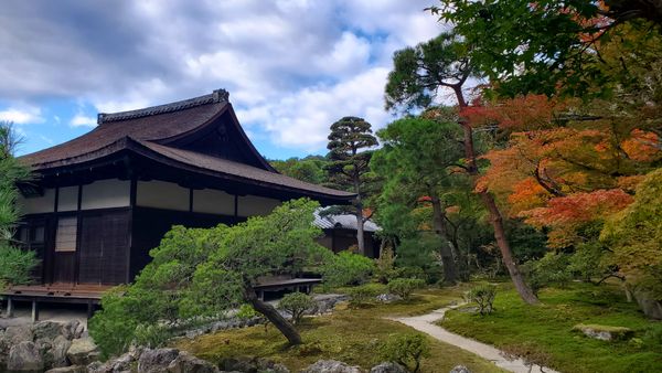 Fall colors at Ginkakuji Temple thumbnail