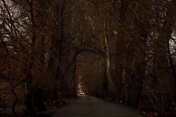 Where the road exhales silence thumbnail