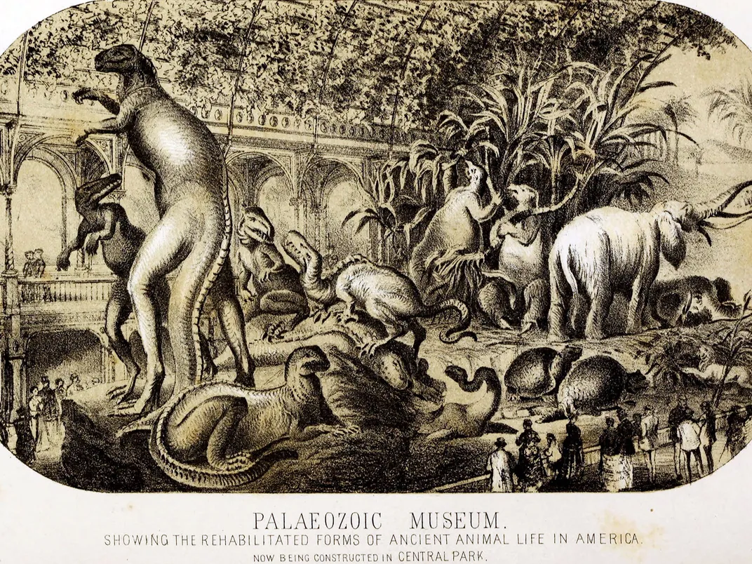Paleozoic Museum Drawing
