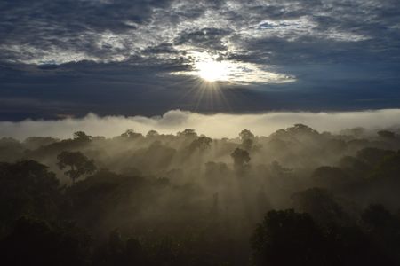 Scientists need to get up higher than the 200-foot observation tower—and its view of the Peruvian Amazon—to see the big picture. That’s where NASA’s satellites come in. 