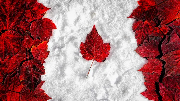Maple Leaves on Snow thumbnail