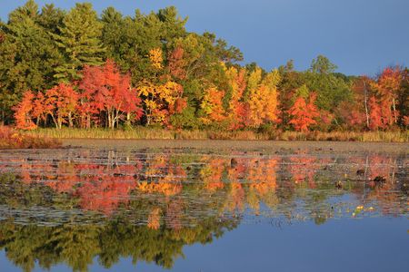Dry conditions have dulled fall's gorgeous New England show.