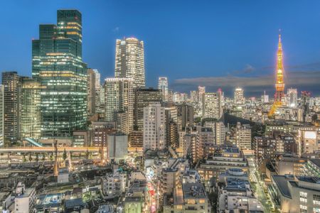 The dense metropolis of Tokyo sparkles like an urban playground at night.