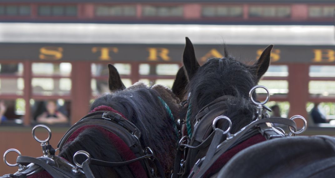 A look into the world of the Amish - Buggy horses waiting for a train ...