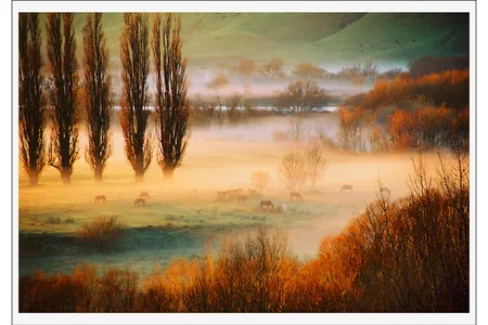 GRAND PRIZE WINNER
A winter dawn in a New Zealand pasture
