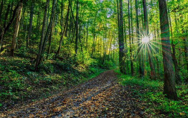 A Smoky Mountain Fall Sunset thumbnail