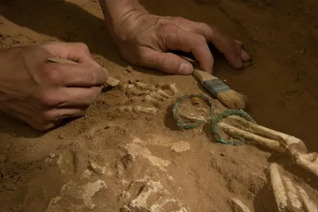 Excavation of the Philistine cemetery at Ashkelon.