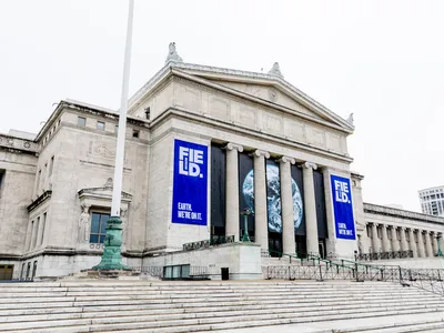 Chicago&#39;s Field Museum announced its decision to cover certain display cases several days before new federal regulations went into effect.