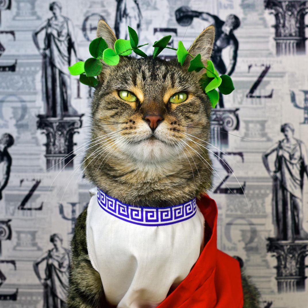 A History Of Felines As Narrated And Illustrated By A Cat History 