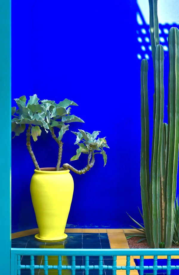 Majorelle Garden at Yves Saint Laurent's home in Marrakesh. thumbnail