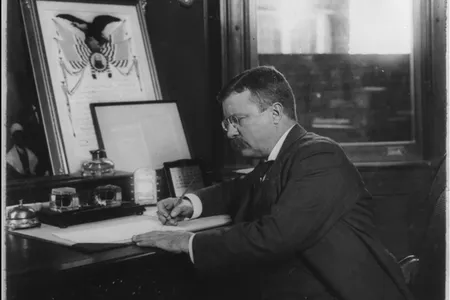 Theodore Roosevelt regularly employed executive orders to achieve his political goals. 