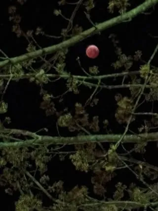 Total Lunar Eclipse (Blood Moon) thumbnail