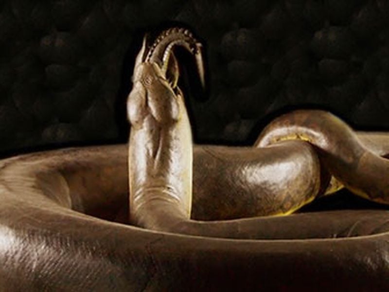 Google Snake Statue Mode Former World Record Retake [41.269