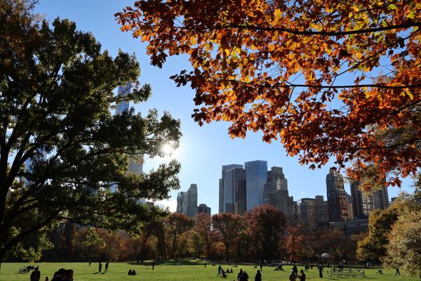Changing Seasons in Central Park thumbnail