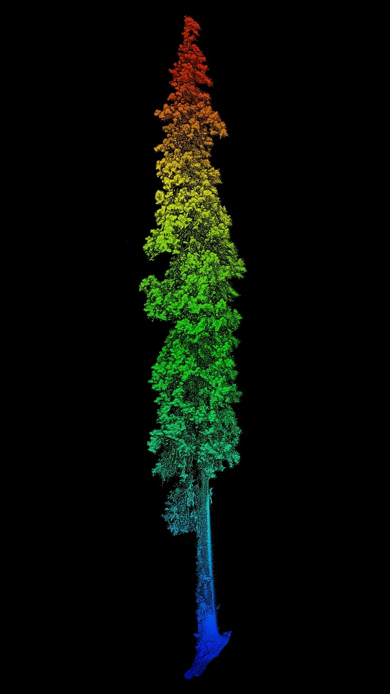 Rainbow tree against black background