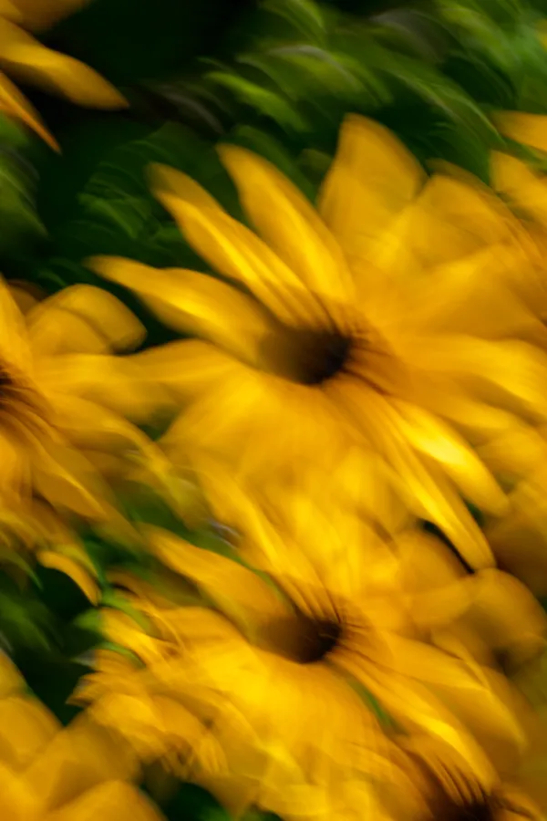 Mette Klint Artistic 2-1 thumbnail