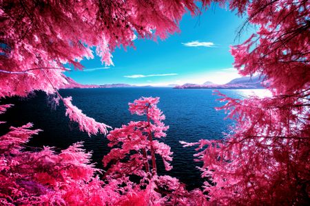 Zak van Biljon photographed Kennedy Lake in British Columbia using infrared film.