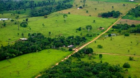 Large swaths of Brazil’s Amazon have been wiped out, but deforestation there is starting to slow.
