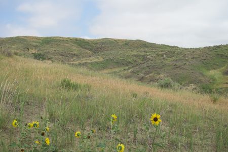 Say hello to the West Bijou Site – the United States' newest National Natural Landmark
