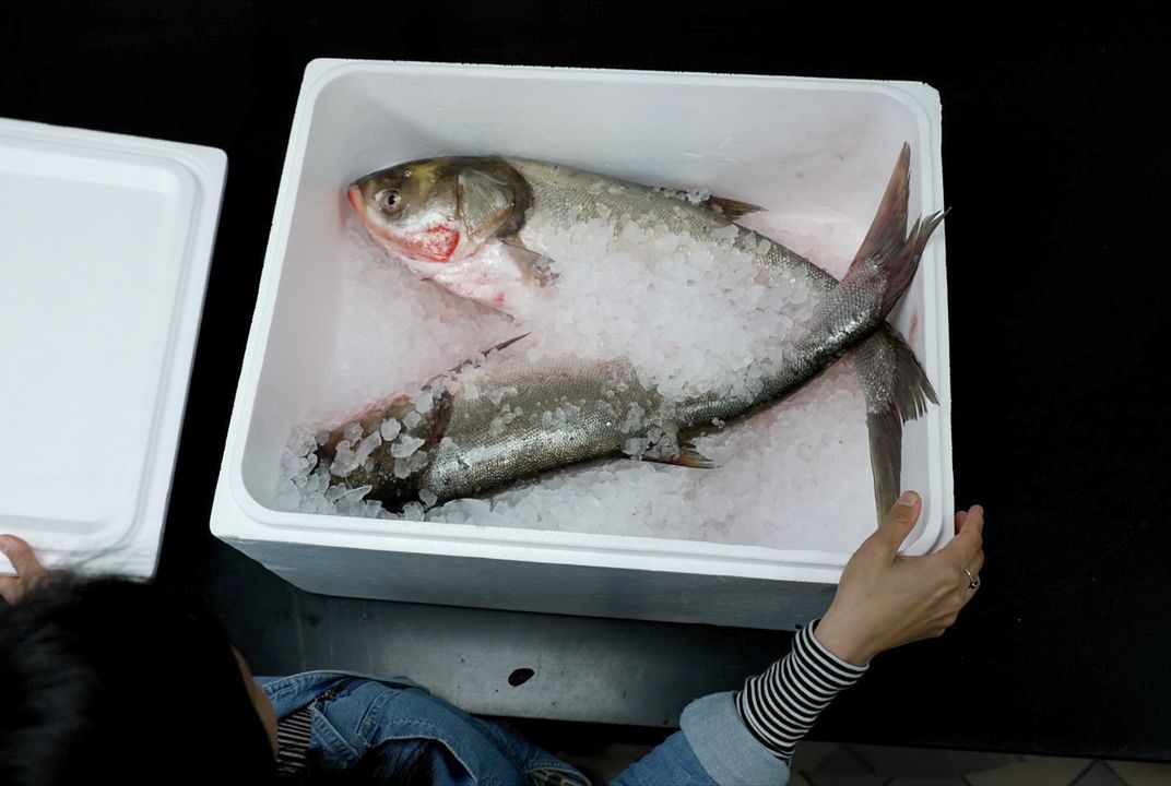 Can Rebranding Invasive Carp Make It More Appealing to Eat ...